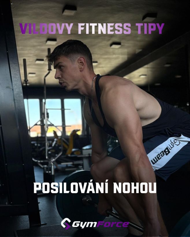 𝐕𝐢𝐥𝐝𝐨𝐯𝐲 𝐟𝐢𝐭𝐧𝐞𝐬𝐬 𝐭𝐢𝐩𝐲 🏋 Miluješ nebo nenávidíš leg day? Trénink nohou patří mezi ty nejnáročnější, ale rozhodně by neměl...
